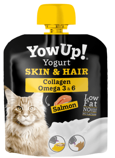 YOW UP GATO SKIN AND HAIR 85GR