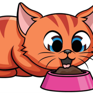 Plato comida gato cuadrado Colores