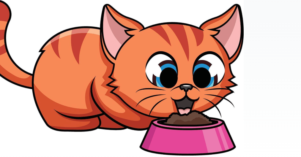 Plato comida gato cuadrado Colores