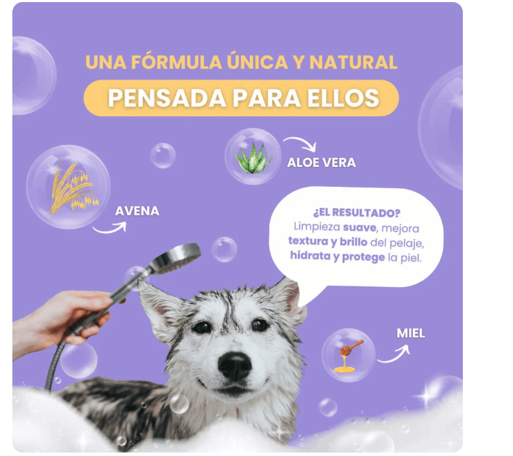 PetMyPet Shampoo Piel Sensible Oat Care de Avena 237 ml - Imagen 4