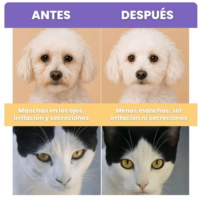 PetMyPet Eye Wipes Toallitas Limpieza Ojos 130 unidades - Imagen 4