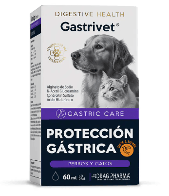 Gastrivet Gel Oral 60 ml
